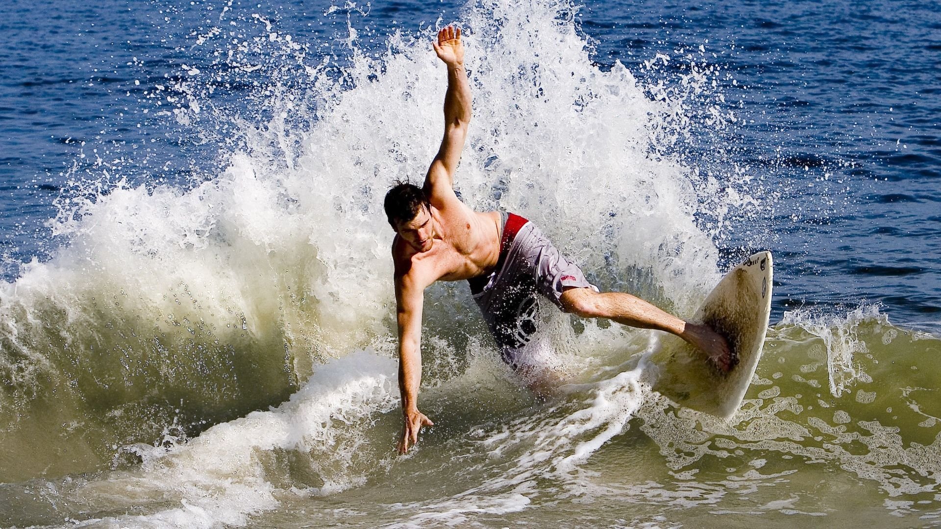 蜂群噬王，浓眉擎天，当质疑声碎成他王座下的星辰