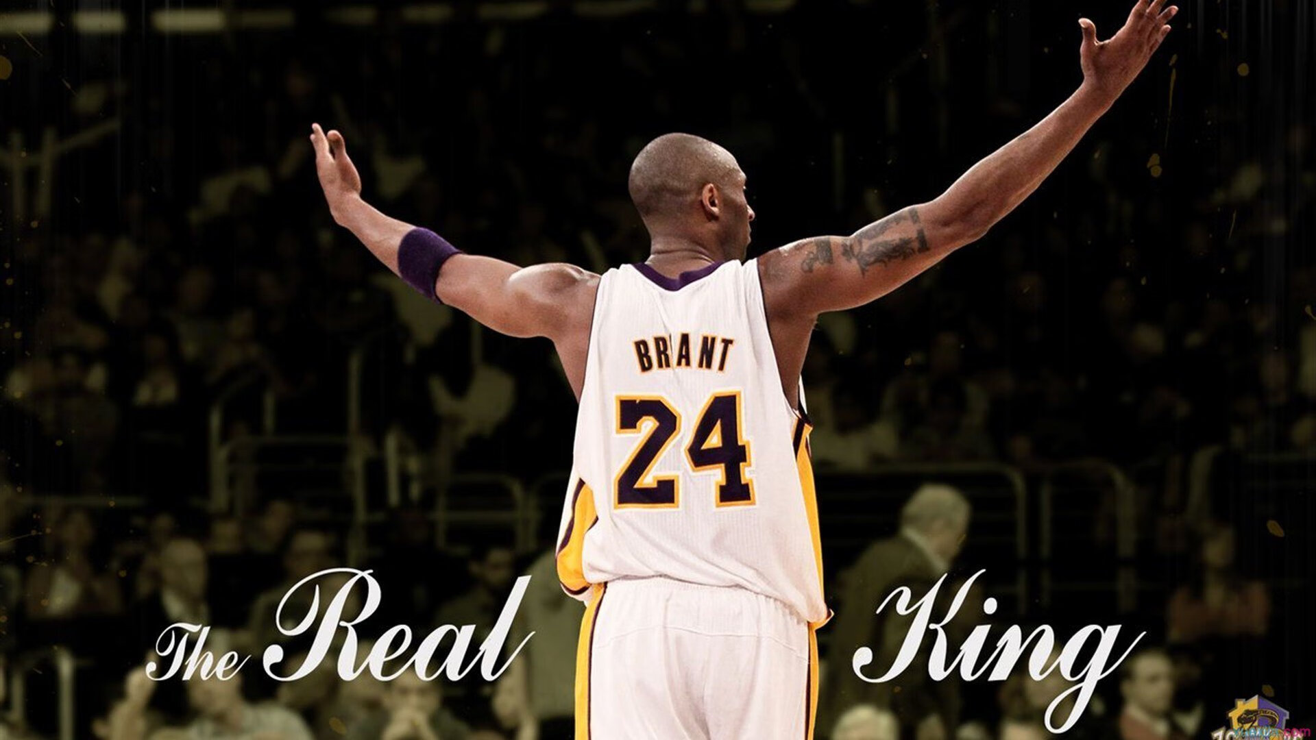 死神挥镰难敌群狼，当杜兰特的无解变成国王胜利的注脚